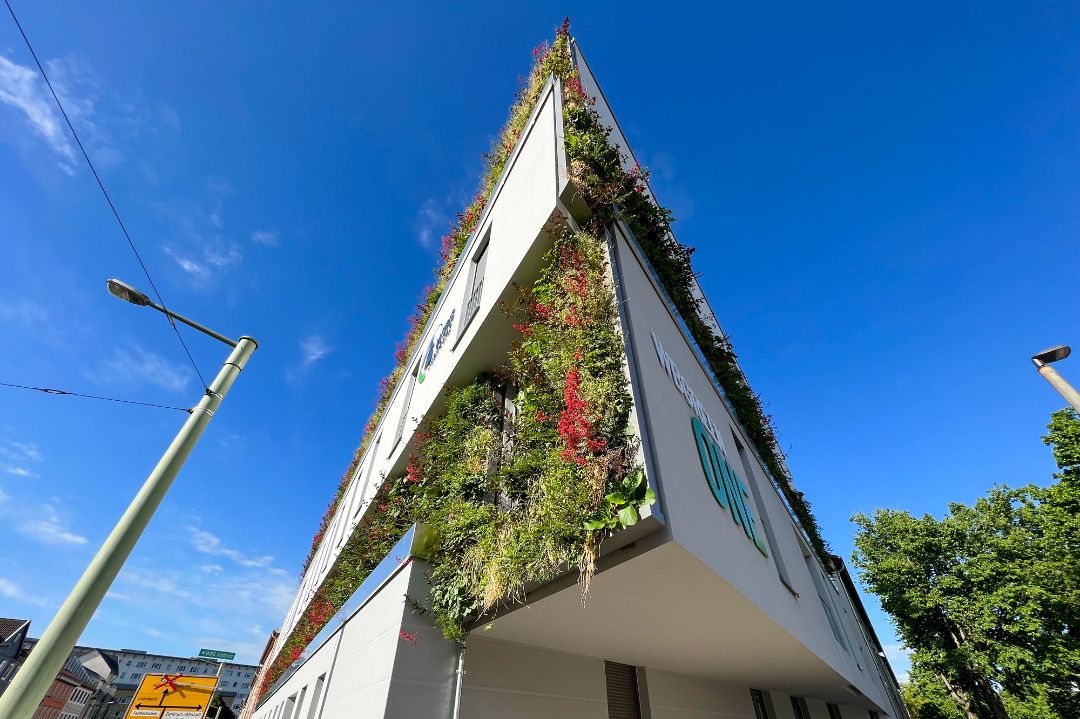 Mehrfamilienhaus mit begrünter Fassade WBGREEN ONE WBG Südharz Nordhausen, Architekt Michael Flagmeyer
