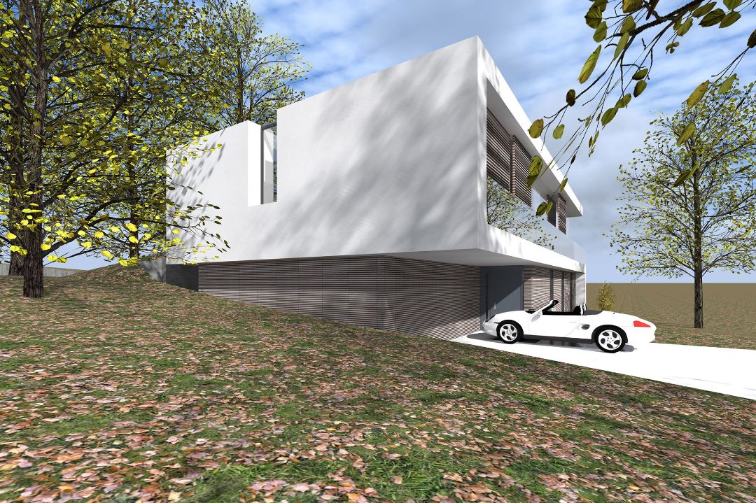 Neubau modernes Einfamilienhaus im kubischen Baustil mit Lärchenholzfassade in Pößneck, Architekt Michael Flagmeyer