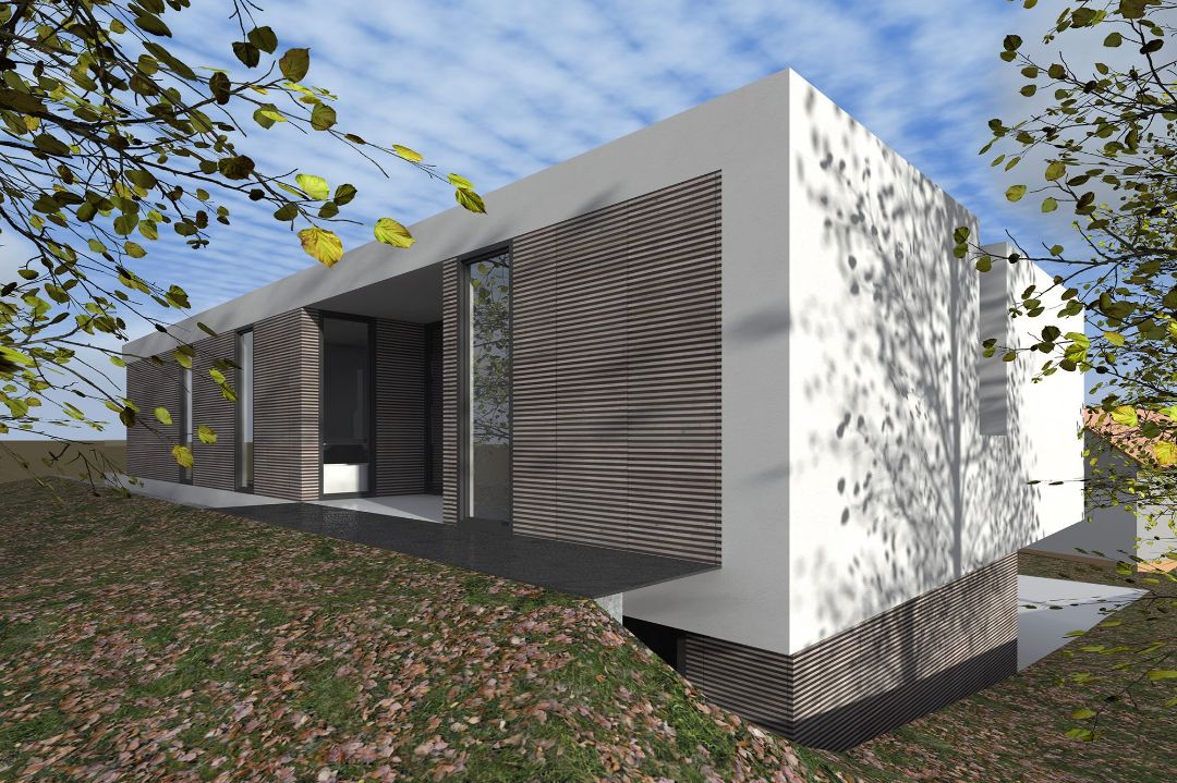 Neubau modernes Einfamilienhaus im kubischen Baustil mit Lärchenholzfassade in Pößneck, Architekt Michael Flagmeyer