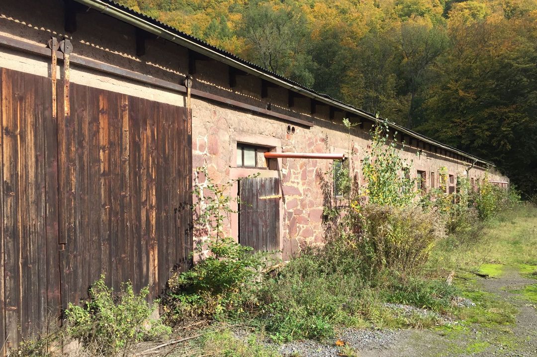 Umnutzung, Modernisierung, Denkmalschutz Stiftsgut Ilfeld Klosterkammer Hannover, Architekt Michael Flagmeyer